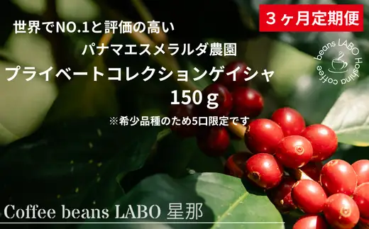 【定期便3ヶ月】パナマエスメラルダ農園 プライベートコレクションゲイシャ 150g