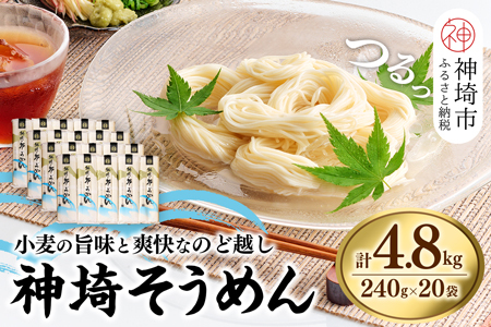 神埼そうめん(240g×20袋) (H020101)