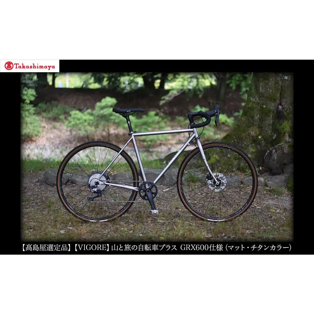 【高島屋選定品】【VIGORE】山と旅の自転車プラス GRX600（1×11速 / マット・チタンカラー）