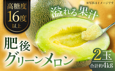 【先行予約】肥後グリーンメロン 約4kg(2玉入) メロン グリーンメロン フルーツ 熊本県産 【日本フルーツ株式会社】 [ZFJ004]
