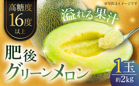 【先行予約】肥後グリーンメロン 約2kg(1玉入)  メロン グリーンメロン フルーツ 熊本県産 【日本フルーツ株式会社】 [ZFJ005]