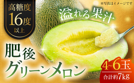 肥後グリーンメロン 約7kg(4～6玉入) メロン グリーンメロン フルーツ 熊本県産 【日本フルーツ株式会社】 [ZFJ006]