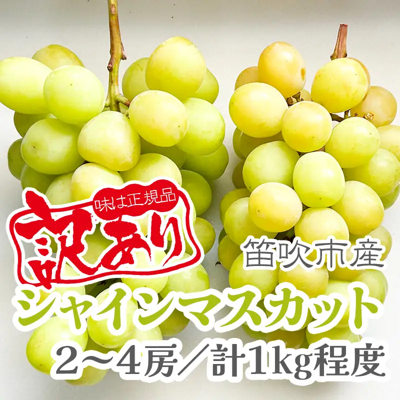 【2026年発送★先行予約】【訳あり品】山梨県産シャインマスカット2房～4房(合計1kg程度) 229-009-26y