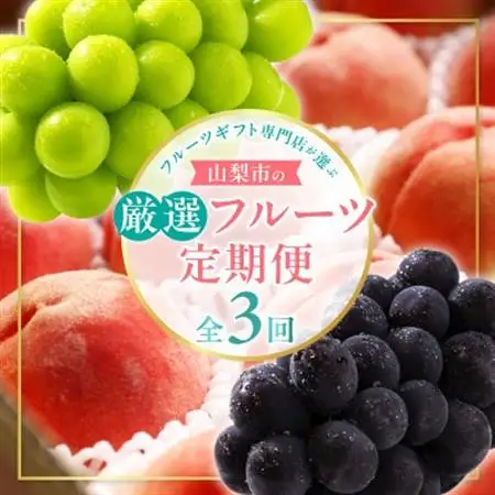 【発送月固定定期便】2026年先行受付　フルーツギフト専門店が選ぶ山梨市の厳選フルーツ定期便　全3回【配送不可地域：離島・沖縄県】【4064103】