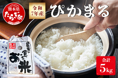 【 令和7年産米】多良木町産 ぴかまる 5kg （ 令和7年10月下旬より順次発送 ）農家が食べる お米 5キロ 甘み 米 美味しい米 米 白米 精米 熊本 065-0640