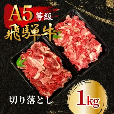 飛騨牛5等級 切り落とし1kg　FTA196_肉 飛騨牛 牛肉 うし ビーフ_【配送不可地域：離島】【1578220】