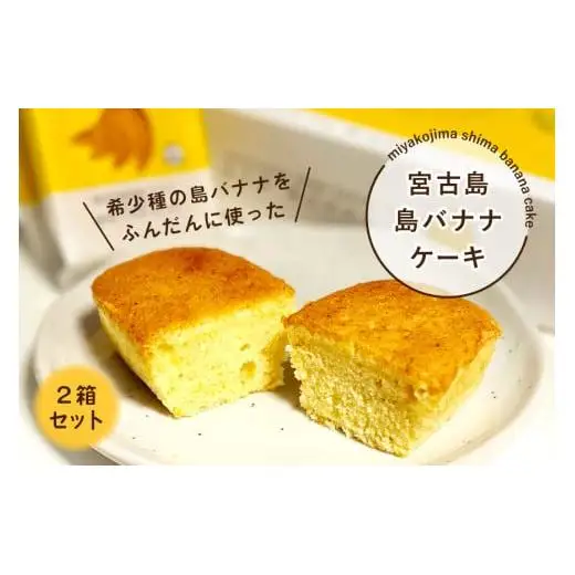 AB107　希少種の島バナナをふんだんに使った『宮古島 島バナナケーキ』2箱セット