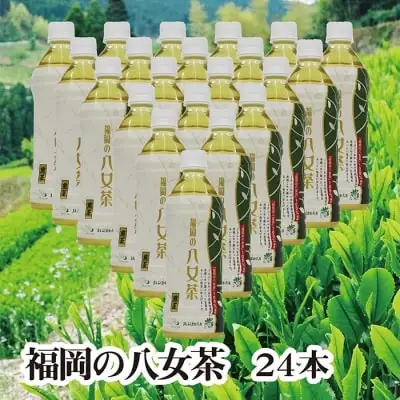 Z26-01 寄附額改定↓↓ 八女茶 煎茶ペットボトル(24本) 緑茶
