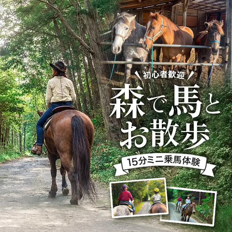 初心者歓迎 森の中を馬に乗ってお散歩プラン(15分)  ミニ外乗 体験 広島 安芸高田市 エオの谷