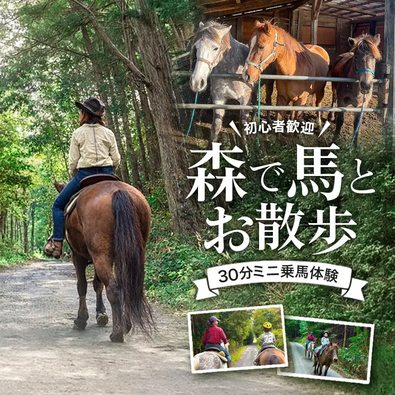 初心者歓迎 森の中を馬に乗ってお散歩プラン(30分)  外乗 体験 広島 安芸高田市 エオの谷