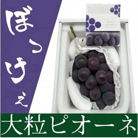【2026年発送】岡山県産 ぼっけえ大粒ニューピオーネ1房(800g以上) 化粧箱入り 【配送不可地域：離島】【1546680】