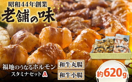 スタミナセットA　（和牛丸腸・小腸）計620g 日田市 ホルモン[ARAY003]
