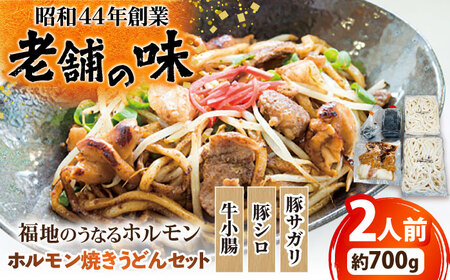 ホルモン焼きうどんセット 700g 日田市 ホルモン うどん [ARAY004]