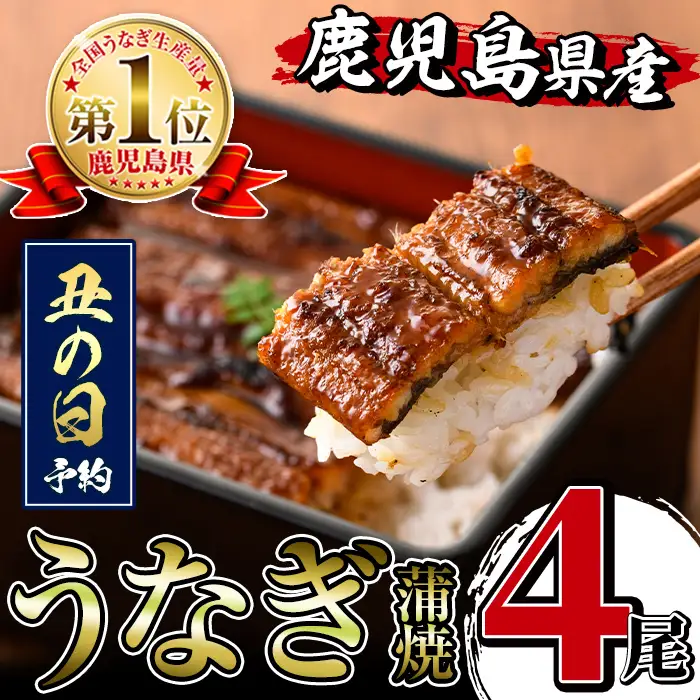 i1077-us 【丑の日までに配送】鹿児島県産うなぎ蒲焼4尾セット(約140g×4・計約560g) うなぎ 鰻 ウナギ 4尾 蒲焼き 国産 鹿児島県産 焼きたて 生産量日本一 真空パック おかず 晩御飯 特別な日 土用の丑の日 丑の日 【薩摩川内鰻】