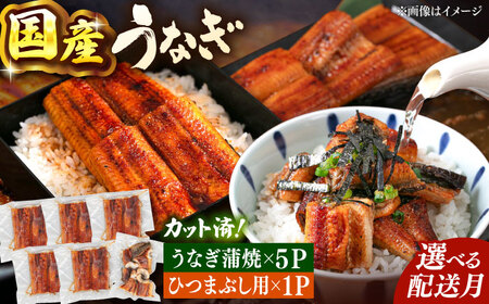 九州産 うなぎ 蒲焼 ひつまぶし セット [ADAH025]
