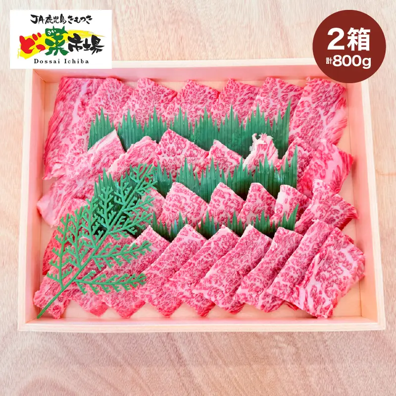 2881 A5ランク鹿児島産黒毛和牛バラカルビ焼肉木箱 800g 400g×2箱 KN010-005-02 肉 牛肉 冷凍