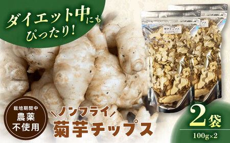 菊芋チップス 200g 乾燥菊芋 野菜チップス ノンフライ 多治見市 / 諏訪