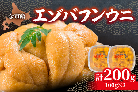 【先行予約：2026年6月以降発送】余市産「塩水うに（エゾバフンウニ）」100g×2_Y006-0036