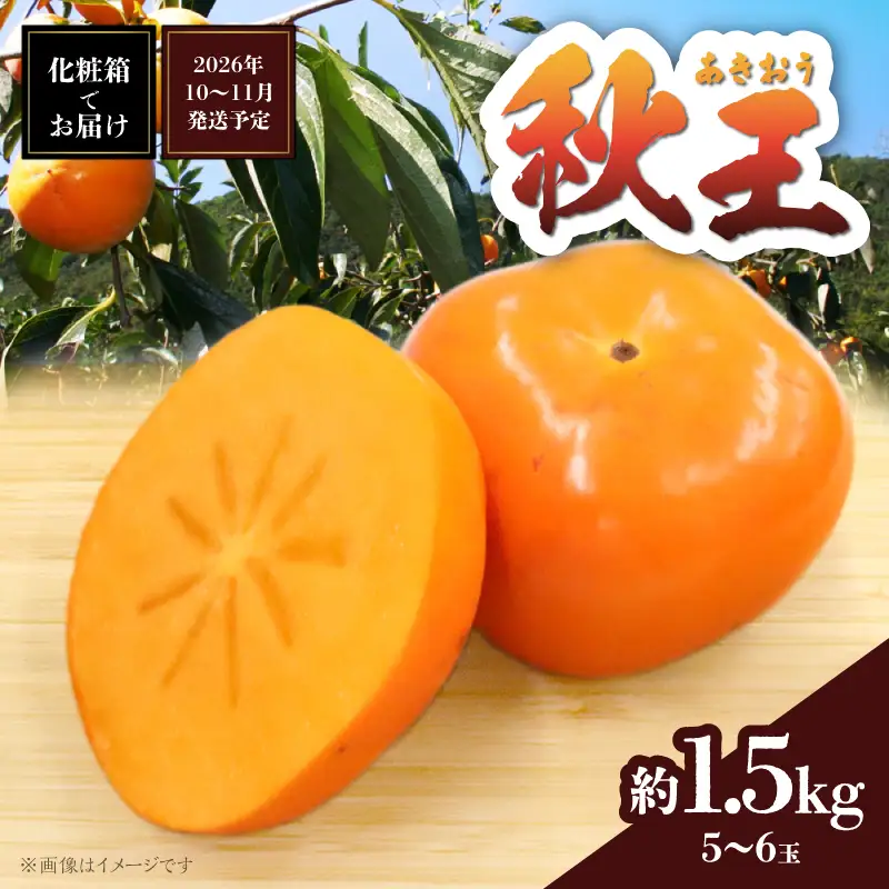 秋の贅沢、濃厚であま～い柿の新ブランド「秋王」約1.5kg(5～6玉入り) ＜配送不可：北海道・沖縄・離島＞ 柿 フルーツ 秋の味覚 濃厚 サクサク 大玉 福岡県 八女市 072-196