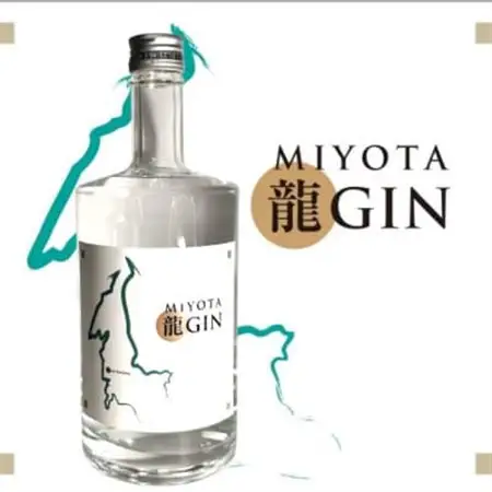御代田町クラフトジン「MIYOTA 龍GIN」700ml×2本セット_酒・アルコール リキュール・洋酒  _【1597225】