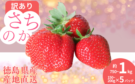【2027年1月順次発送】訳あり いちご さちのか 5パック 計約750g~1kg イチゴ 苺