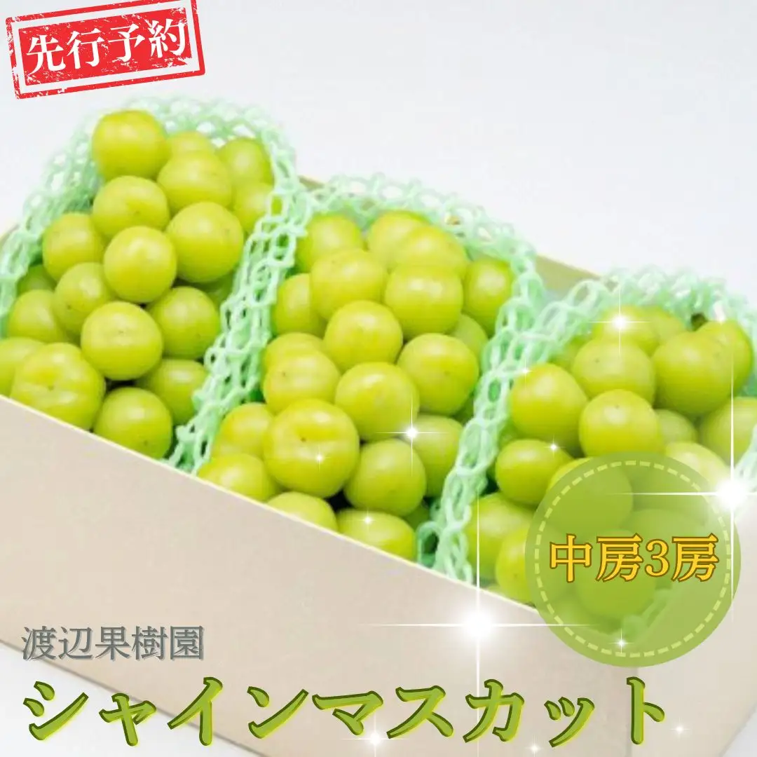 先行予約 中房 シャインマスカット 3房 (約1.5kg) 令和8年度 贈答用 渡辺果樹園