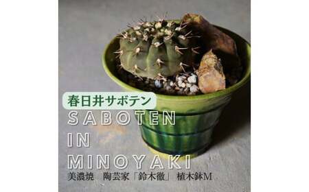 多治見市×春日井市コラボ 【美濃焼】 陶芸家「鈴木徹」 植木鉢 M × 【日本有数のサボテン産地】 春日井市の名店 後藤サボテン