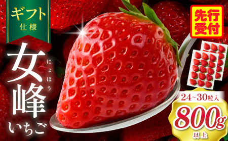 【ギフト仕様】【高級】女峰いちご　24又は30粒入(800g以上)　≪ IDOMALL セレクト≫|スイーツ いちご ストロベリー 女峰 苺 冷蔵 フルーツ 旬 果物 香川県 デザート 青果物 贈答 プレゼント 化粧箱 贈り物 おすすめ|_mk048-001