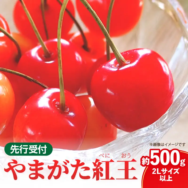 《先行受付》さくらんぼ 山形紅王（やまがたべにおう）約500g (2Lサイズ以上) 【2026年6月中旬～順次発送予定】 022-012