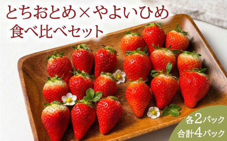 先行予約 いちご とちおとめ やよいひめ 約250g×4パック 計1kg いちご