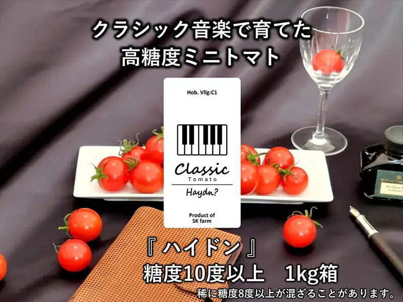 高糖度クラシックミニトマト『ハイドン』約1kg箱＜北海道・沖縄県・離島は配送不可＞　長野県　信州　佐久市　野菜　旬彩　プチ　小粒