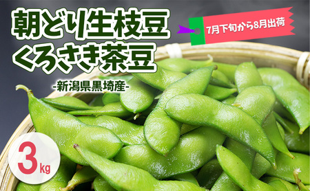 夏発送 くろさき茶豆3kg 新潟県黒埼産 朝どり生枝豆