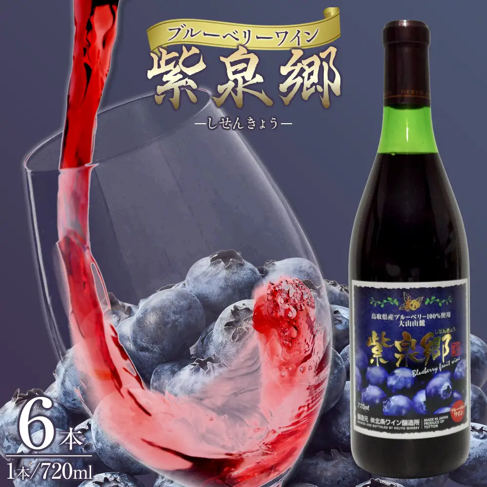 酒 ワイン ブルーベリーワイン 紫泉郷（しせんきょう） 6本 （ 720ml × 6 )