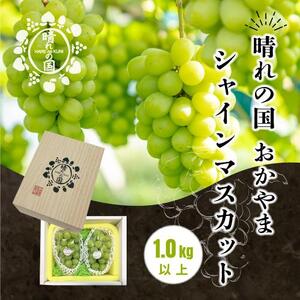 岡山県産 シャインマスカット  1kg以上（2～3房）＜2026年9月上旬～10月下旬発送＞｜  シャインマスカット