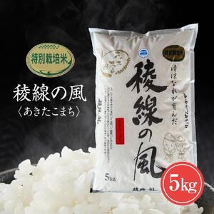 特別栽培米　稜線の風（あきたこまち） 5kg | 米 新米 長野 信州