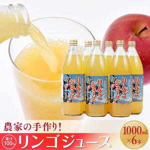 農家の手作り！果汁100%リンゴジュース（1000ml×6本) | りんご ジュース 長野 信州