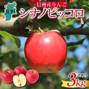 ＜26年９月下旬頃～発送 先行予約＞長野県産 りんご シナノピッコロ 訳あり 約3kg リンゴ 旬 フルーツ 訳アリ 林檎 果物 規格外 自家用 産地直送 農園 産直 お取り寄せ もぎたて 採れたて 送料無料 堀田農園 信州 大町市