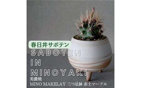 多治見市×春日井市コラボ 【美濃焼】 MINO MAKELAY 三つ足鉢 赤土マーブル × 【日本有数のサボテン産地】 春日井市の名店 後藤サボテン
