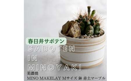 多治見市×春日井市コラボ 【美濃焼】 MINO MAKELAY Mサイズ 鉢 赤土マーブル × 【日本有数のサボテン産地】 春日井市の名店 後藤サボテン