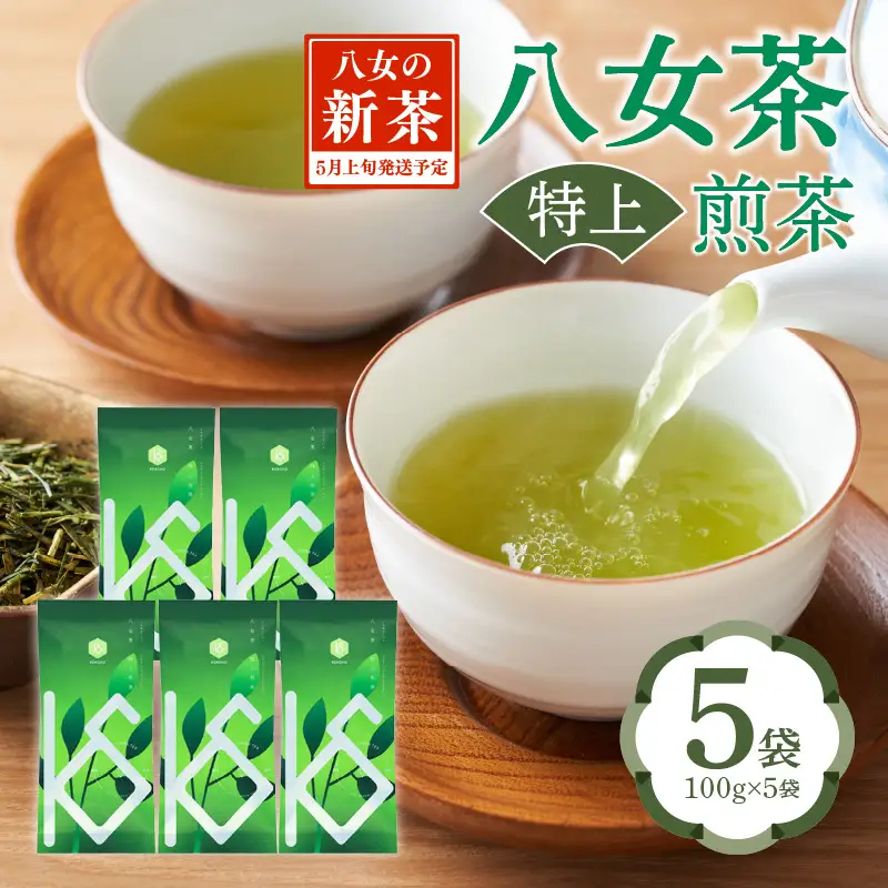 【2026年新茶】八女茶 特上煎茶 100g×5袋 茶 お茶 日本茶 緑茶 八女茶 新茶 福岡県 八女市 068-025