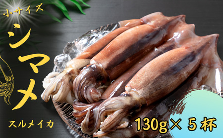 【朝どれシマメ 小サイズ丸ごと5杯セット】130g×5杯 いか イカ スルメイカ 朝どれシマメ