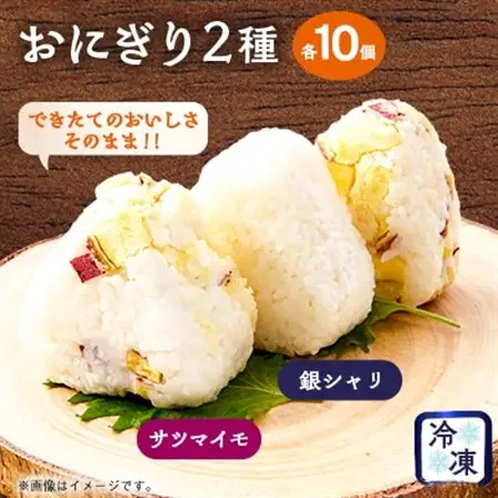 できたてのおいしさそのまま!冷凍おにぎり20個セット(2種類×各10個)_惣菜・加工品   _【配送不可地域：離島】【1574034】