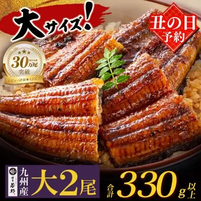 Z61-71R01 寄附額改定↓↓ 丑の日7/25までにお届け 国産 うなぎ 蒲焼大サイズ2尾（計330g以上） うなぎ 丑の日