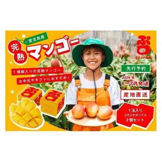 【ぷすぷす農園】＜2026年発送先行予約＞宮古島産完熟マンゴー1玉入り×2個セット（農園直送）（KY005）