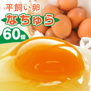 平飼い卵 なちゅら 60個 _KJF0206