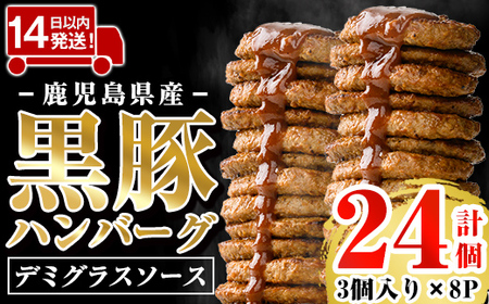 ハンバーグ 黒豚ハンバーグ 湯煎 デミグラス  計24個 (3個入×8P) 【AKR Food Company】 a1003
