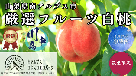 ＜2026年発送先行予約＞ 山梨県南アルプス市産 厳選桃 (川中島) 2kg ALPEM002