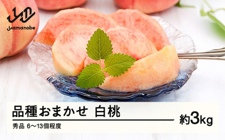 《先行予約》もも 桃 品種おまかせ 8月旬の白桃 秀品 約3kg (6~13個程度) 8月発送 山形県産 nf-mohtx3-8f