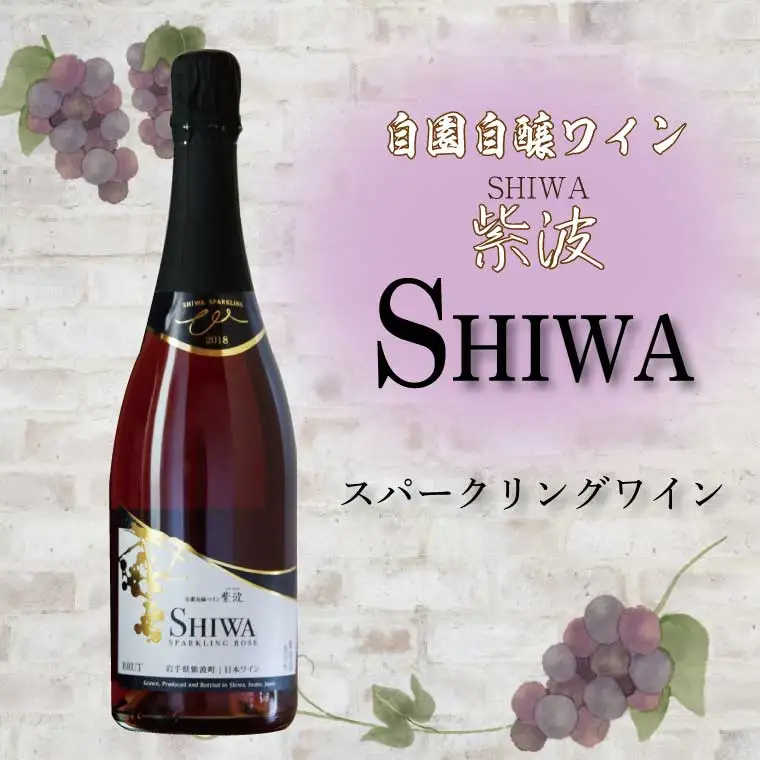 スパークリングワイン ロゼワイン 2本セット AL064-1