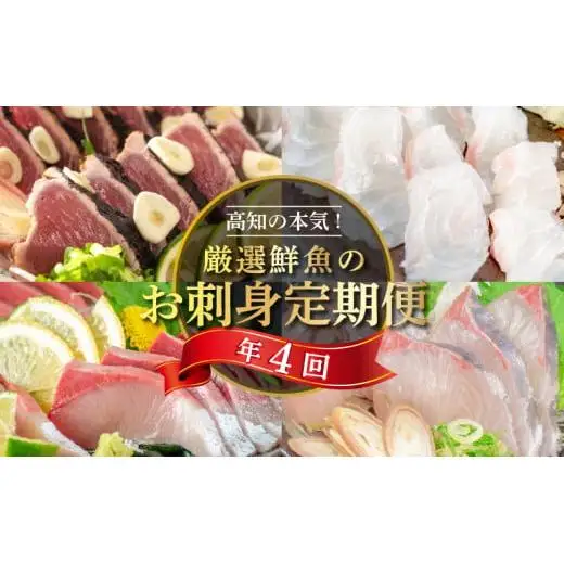 【 刺身 】 刺身定期便 4回